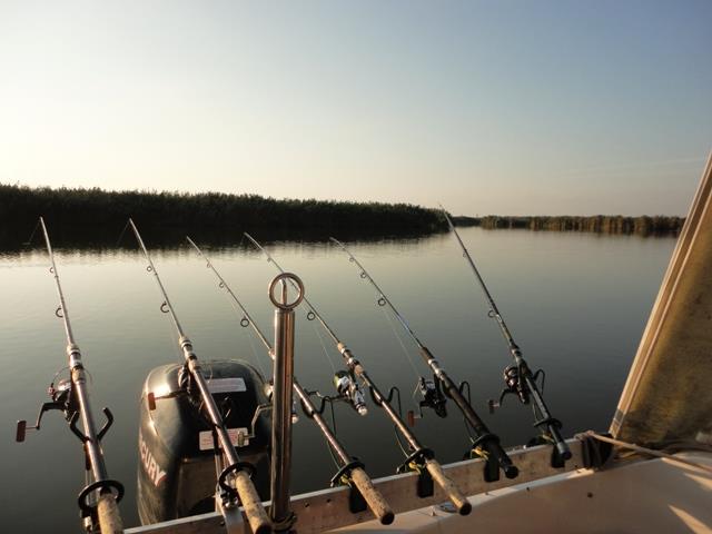 delta rosu 2011 - dsc00859.JPG